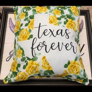 Outdoor/Indoor throw pillow. Water resistant nwt